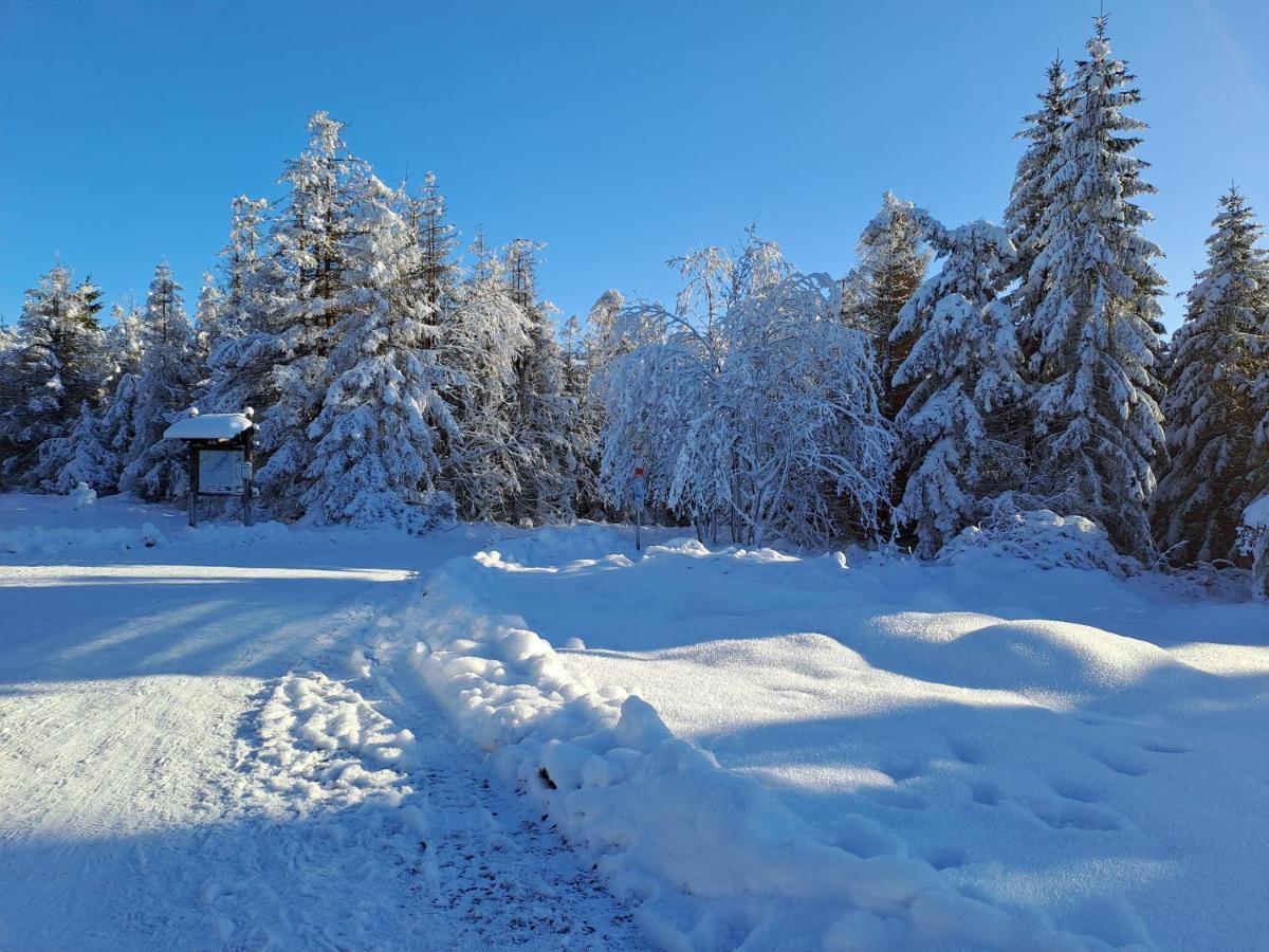 Wohnen Wie Bei Freunden Braunlage Exterior photo
